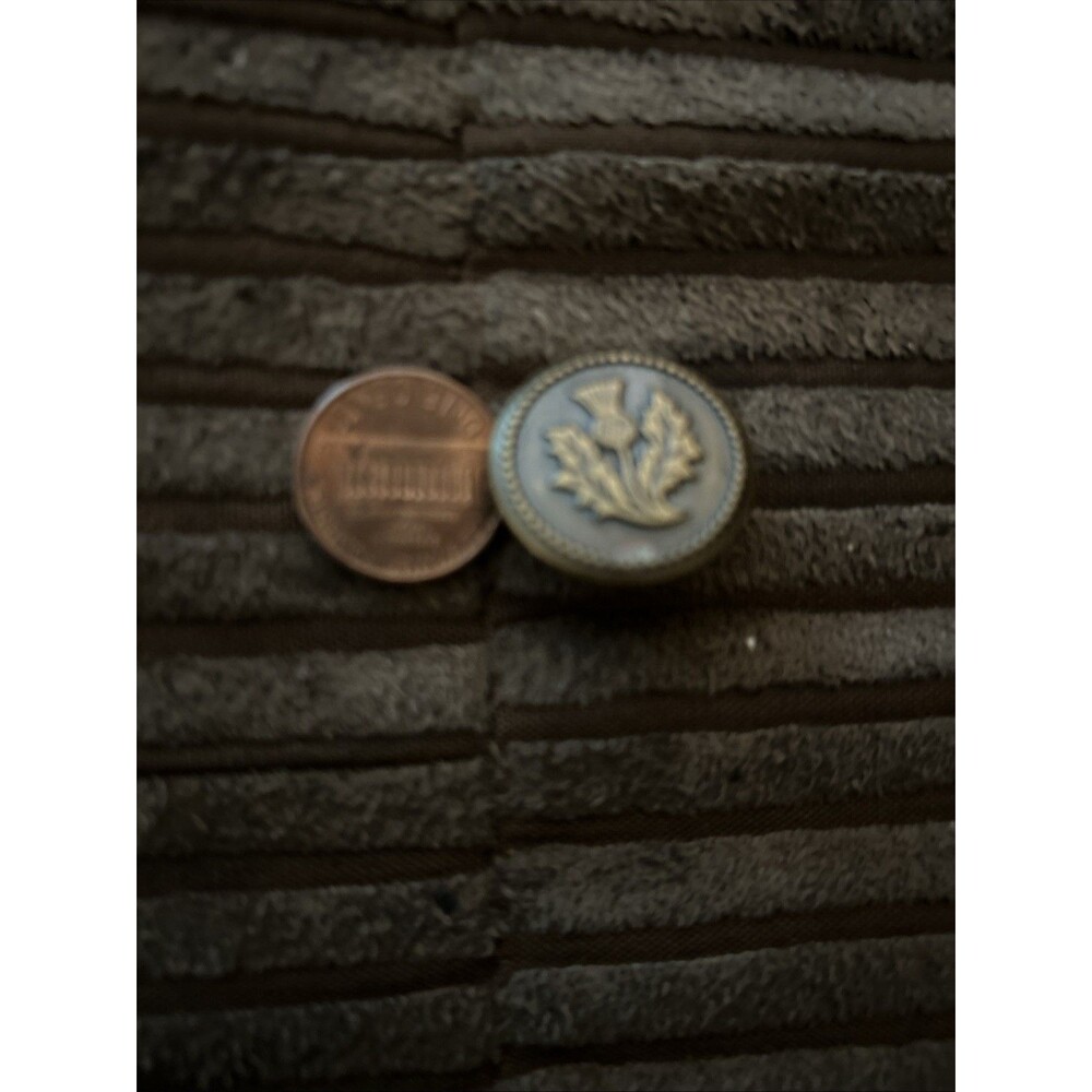 Vintage 3/4 Inch Metal Picture Button, Thistle